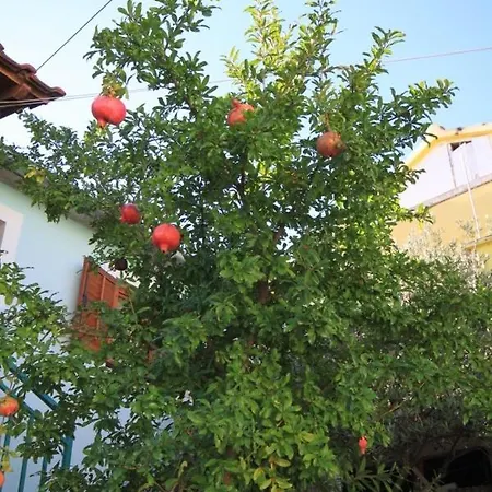 With Parking Space Tkon, Pasman - 8411 דירה