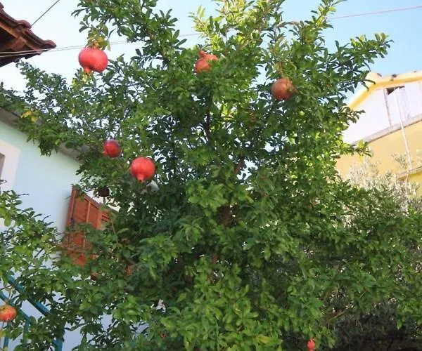 With Parking Space Tkon, Pasman - 8411 Apartman